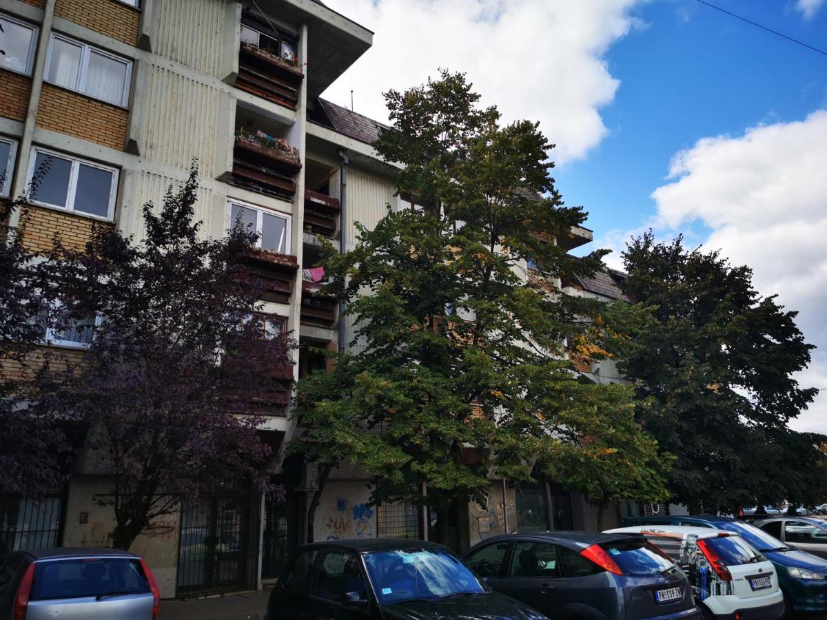 Apartmán T&A Paraćin Exteriér fotografie